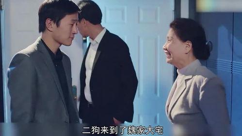 陈二狗在线观看,网络奇遇记