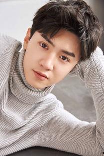 陈哲远沈月恋情爆料最新,甜蜜互动引网友热议