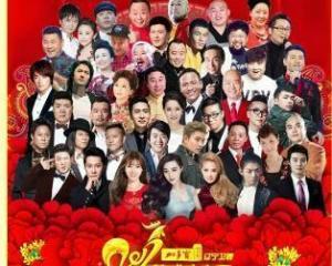 辽宁春晚直播在线观看,精彩纷呈，共度欢乐时光  第3张